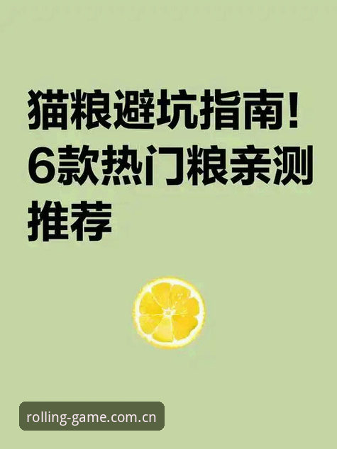 资深用户亲测：滚球百家体育2026版“这就是该有的样子”官网入口更新避坑指南